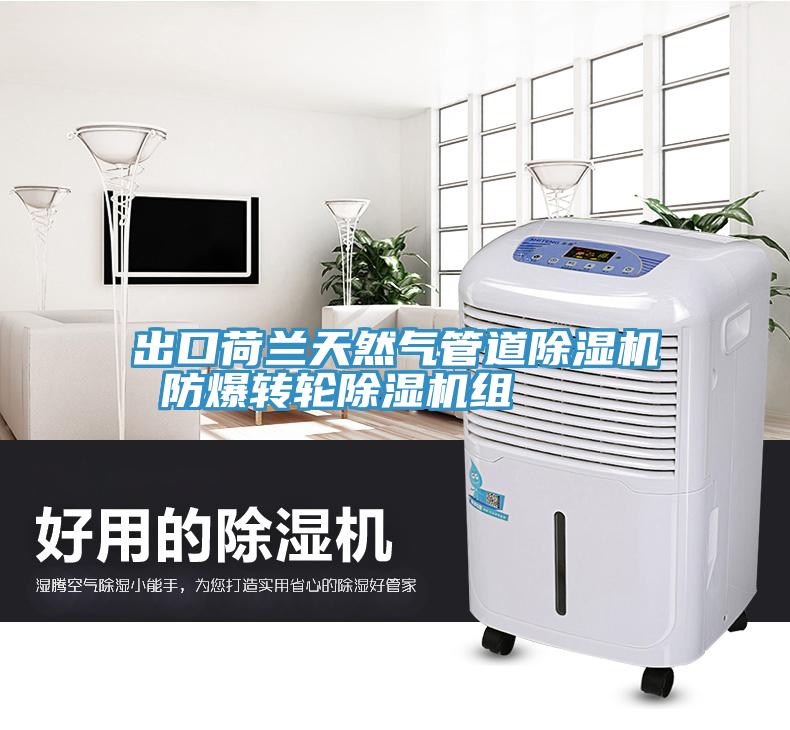 亚洲欧美一级特黄大片 出口荷兰天然气管道除湿机 防爆转轮除湿机组