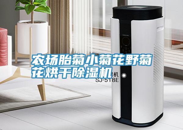 亚洲人成综合第一网站 农场胎菊小菊花野菊花烘干除湿机