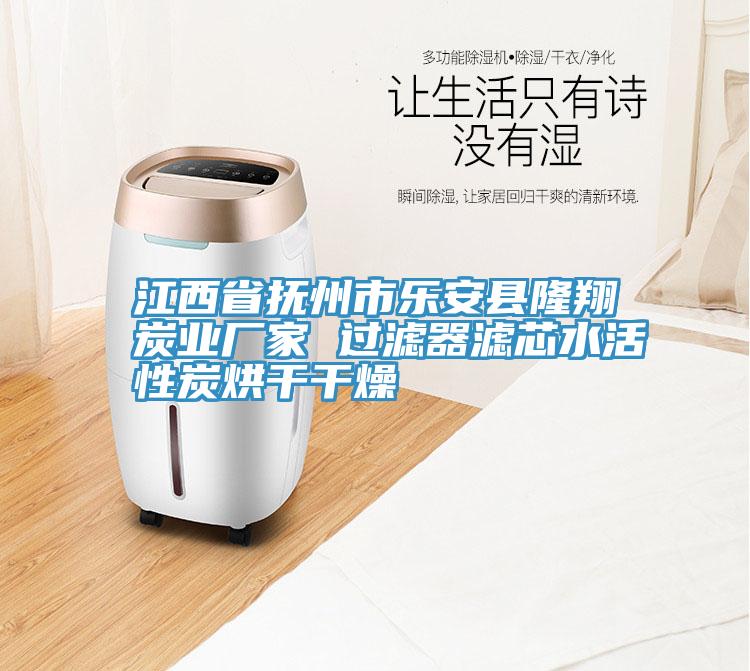 亚洲人成综合第一网站 江西省抚州市乐安县隆翔炭业厂家 过滤器滤芯水活性炭烘干干燥