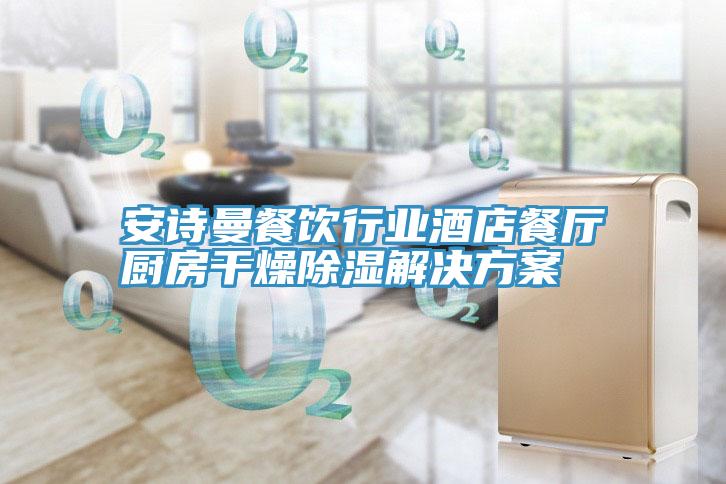 亚洲欧美一级特黄大片 安诗曼餐饮行业酒店餐厅厨房干燥除湿解决方案