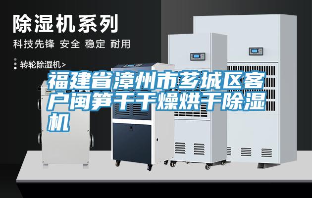 亚洲乱码一区二区三区 福建省漳州市芗城区客户闽笋干干燥烘干除湿机