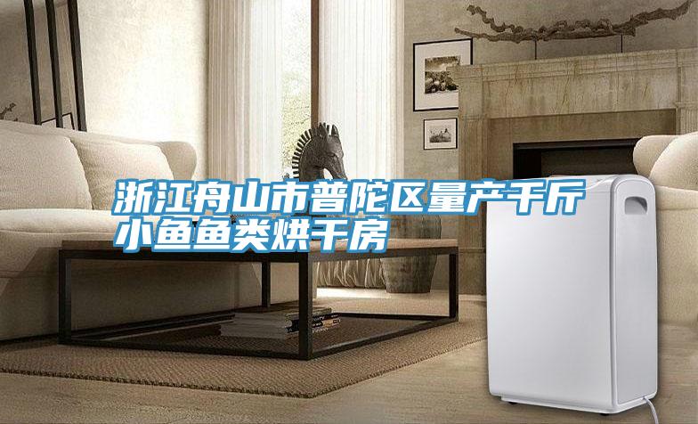 亚洲欧美一级特黄大片 浙江舟山市普陀区量产千斤小鱼鱼类烘干房