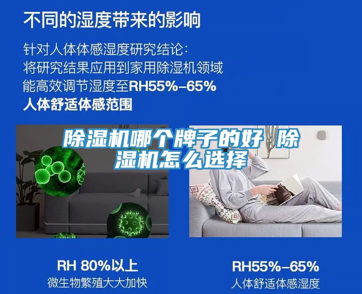 亚洲人成综合第一网站 除湿机哪个牌子的好 除湿机怎么选择