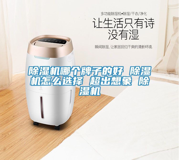亚洲乱码一区二区三区 除湿机哪个牌子的好 除湿机怎么选择 超出想象 除湿机