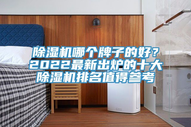 亚洲乱码一区二区三区 除湿机哪个牌子的好？2022最新出炉的十大除湿机排名值得参考