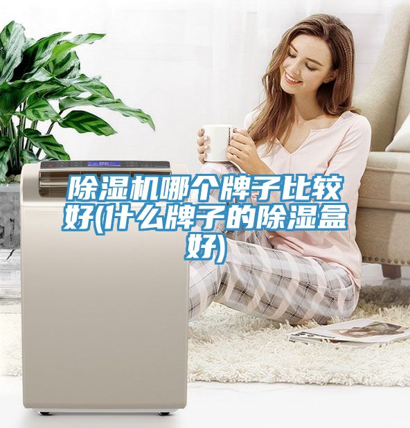 亚洲乱码一区二区三区 除湿机哪个牌子比较好(什么牌子的除湿盒好)