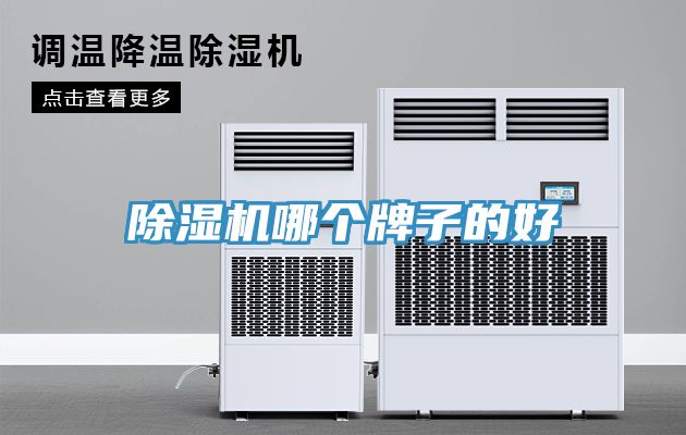 亚洲人成综合第一网站 除湿机哪个牌子的好