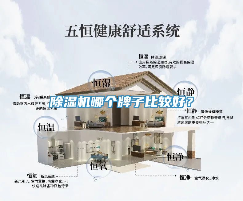 亚洲人成综合第一网站 除湿机哪个牌子比较好？