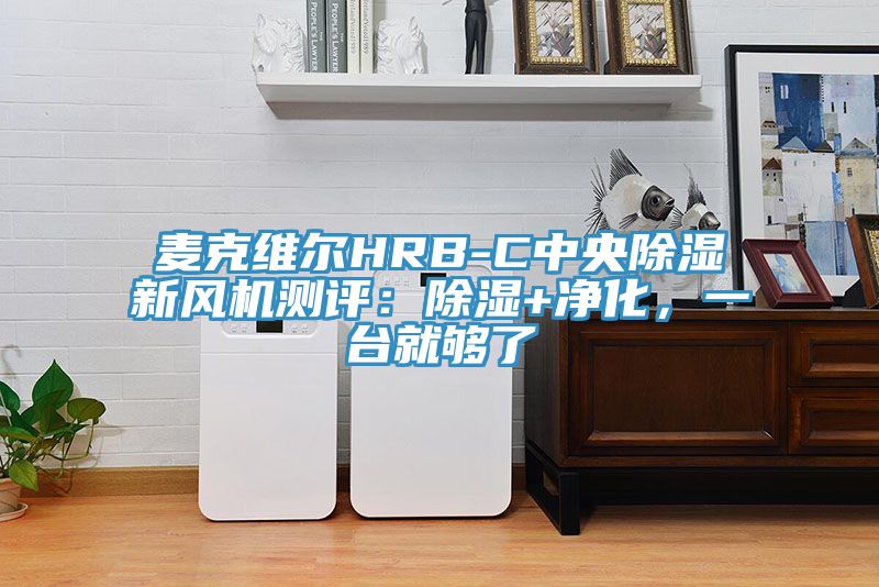 亚洲乱码一区二区三区 麦克维尔HRB-C中央除湿新风机测评：除湿+净化，一台就够了
