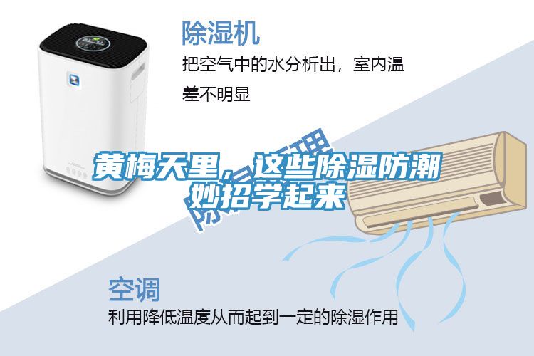 亚洲乱码一区二区三区 黄梅天里，这些除湿防潮妙招学起来