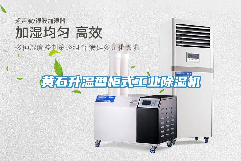 亚洲人成综合第一网站 黄石升温型柜式工业除湿机