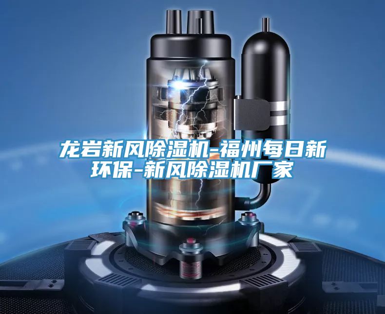亚洲人成综合第一网站 龙岩新风除湿机-福州每日新环保-新风除湿机厂家
