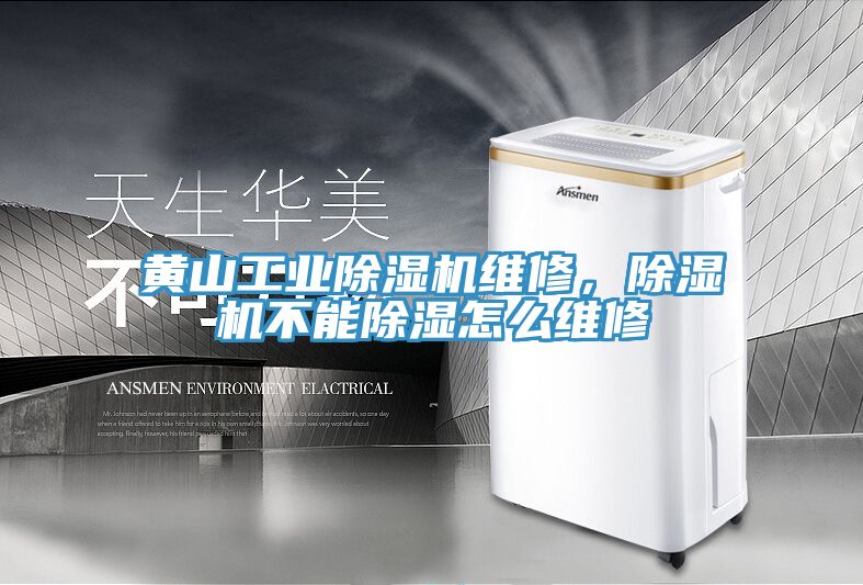 亚洲乱码一区二区三区 黄山工业除湿机维修，除湿机不能除湿怎么维修
