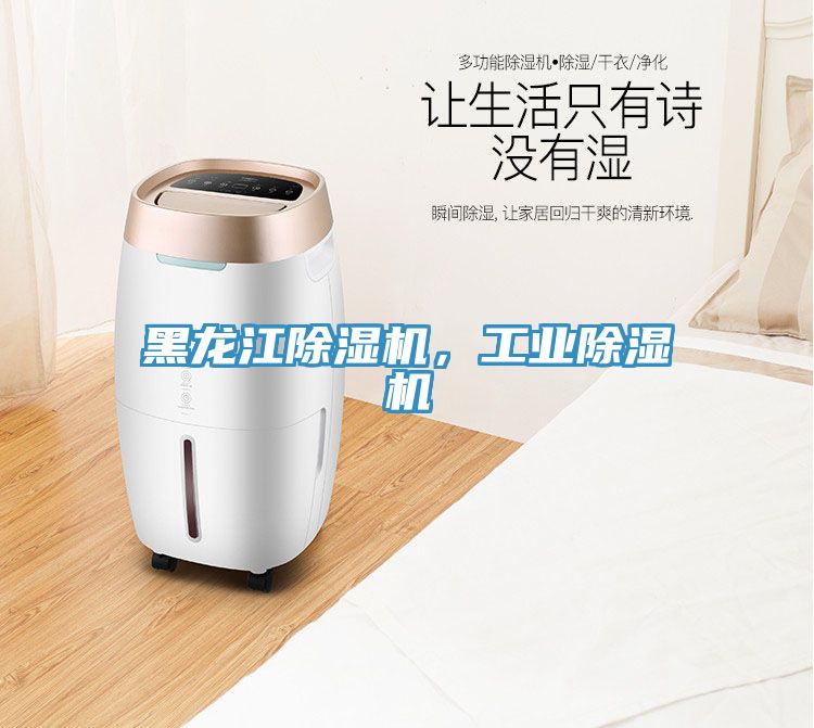 亚洲乱码一区二区三区 黑龙江除湿机，工业除湿机