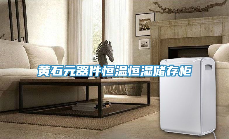亚洲欧美一级特黄大片 黄石元器件恒温恒湿储存柜