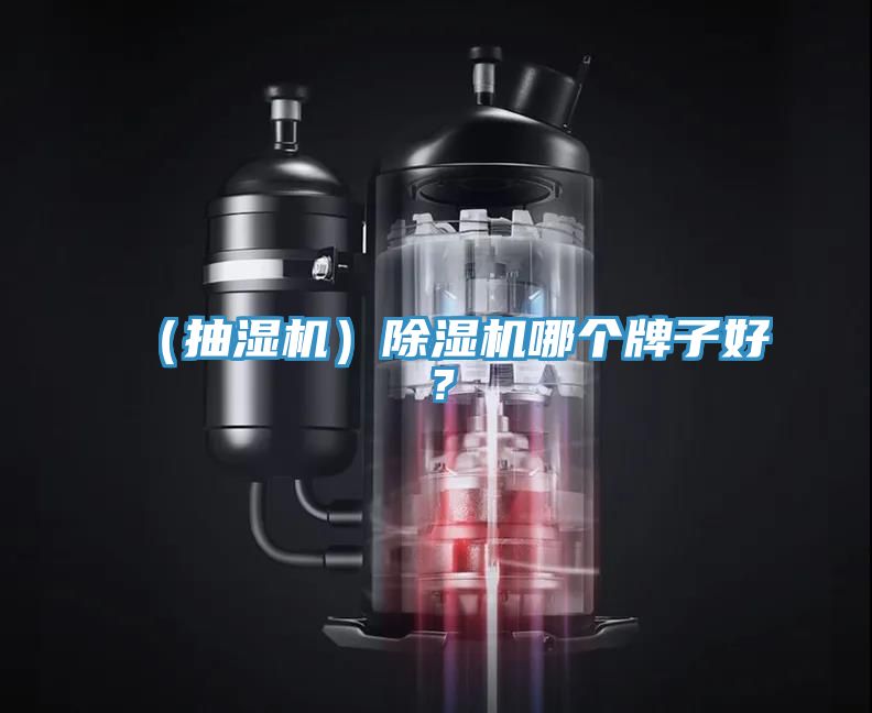 亚洲乱码一区二区三区 （抽湿机）除湿机哪个牌子好？