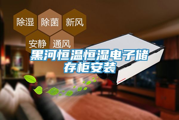 亚洲人成综合第一网站 黑河恒温恒湿电子储存柜安装