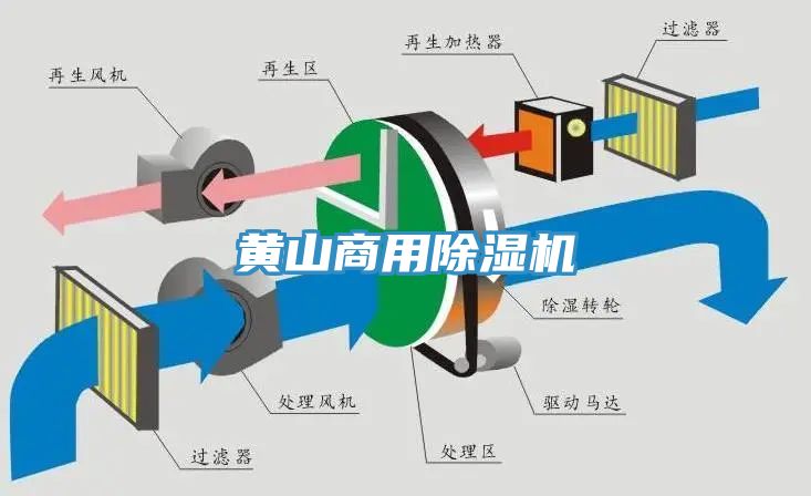 亚洲人成综合第一网站 黄山商用除湿机