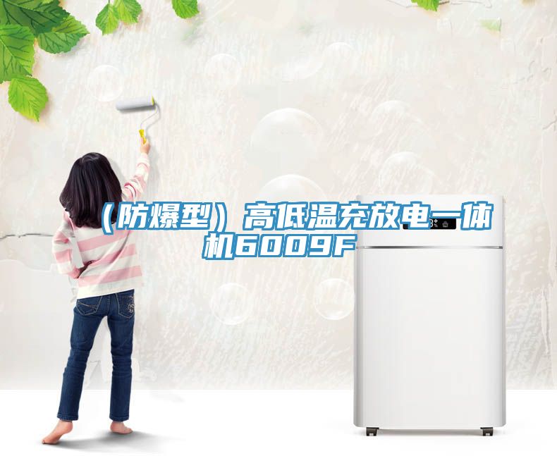 亚洲人成综合第一网站 （防爆型）高低温充放电一体机6009F