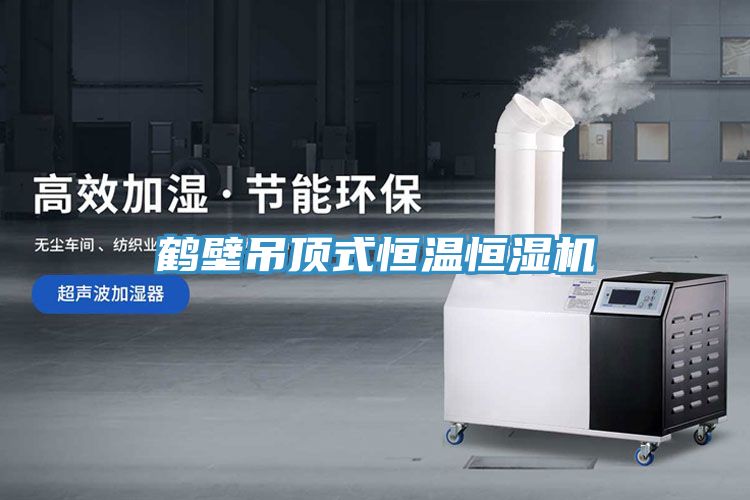 亚洲欧美一级特黄大片 鹤壁吊顶式恒温恒湿机