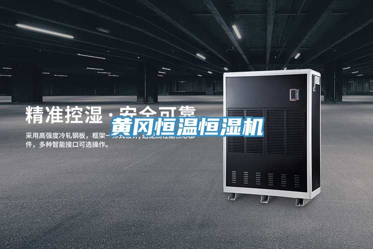 亚洲人成综合第一网站 黄冈恒温恒湿机