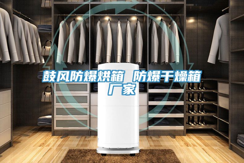 亚洲乱码一区二区三区 鼓风防爆烘箱 防爆干燥箱厂家