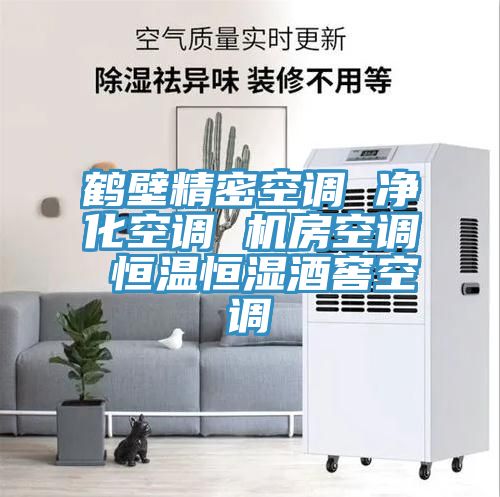 亚洲乱码一区二区三区 鹤壁精密空调 净化空调 机房空调 恒温恒湿酒窖空调