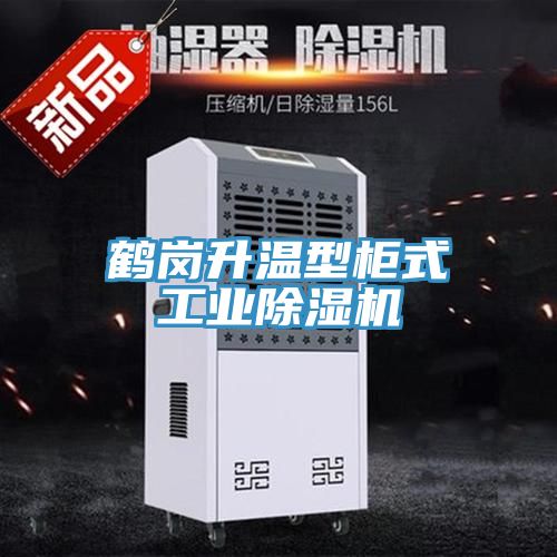亚洲人成综合第一网站 鹤岗升温型柜式工业除湿机