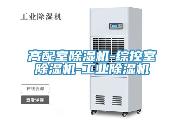 亚洲人成综合第一网站 高配室除湿机-综控室除湿机-工业除湿机