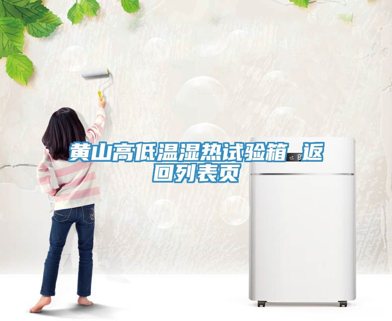 亚洲人成综合第一网站 黄山高低温湿热试验箱 返回列表页