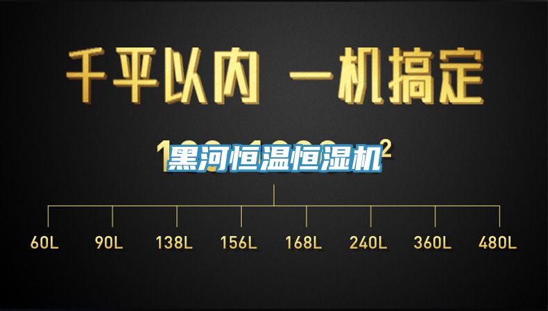 亚洲人成综合第一网站 黑河恒温恒湿机