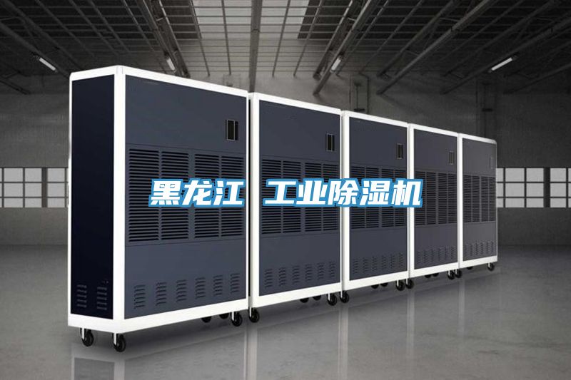 亚洲人成综合第一网站 黑龙江 工业除湿机
