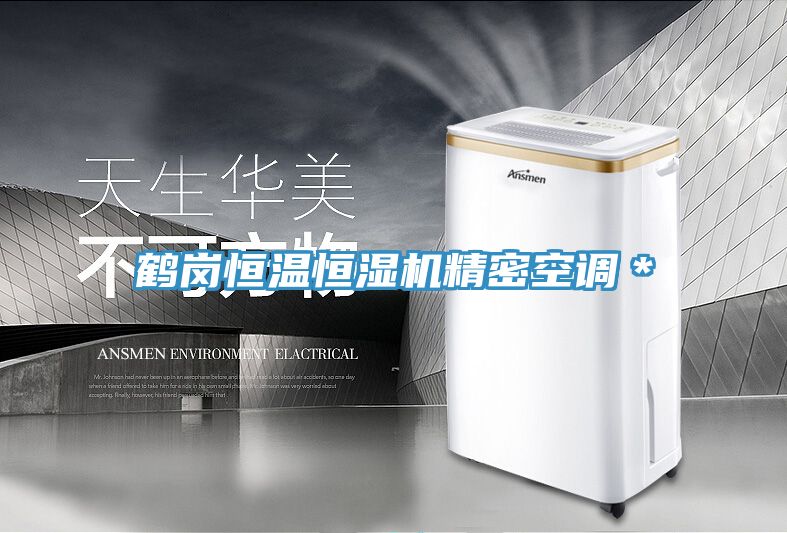 亚洲欧美一级特黄大片 鹤岗恒温恒湿机精密空调＊